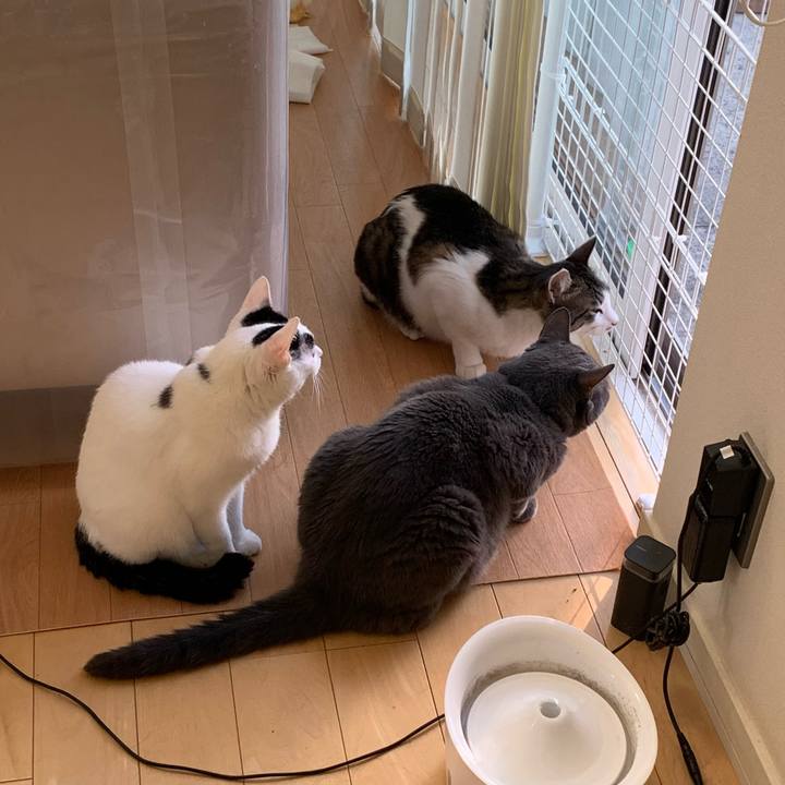 C92df953 56f4 4654 bbdb 098ad83e0ade 1754099935338