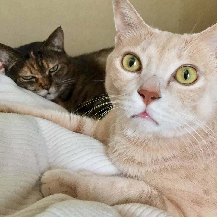 C92e0508 d310 4cbc a8e3 78f9a6bc76ee 1571569426358