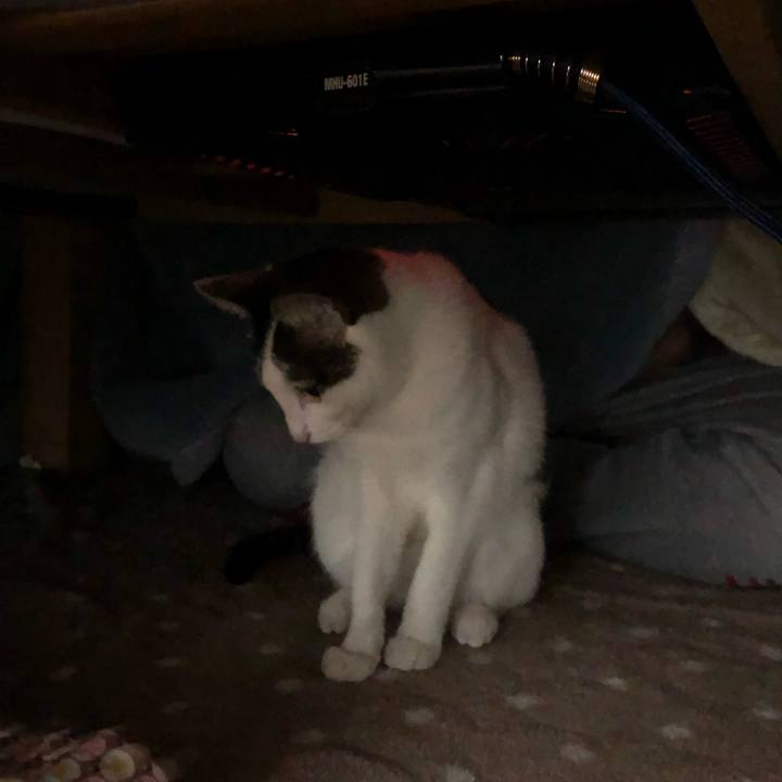 C92e3450 8444 473b ba43 4c74dcfb398a 1586777804924