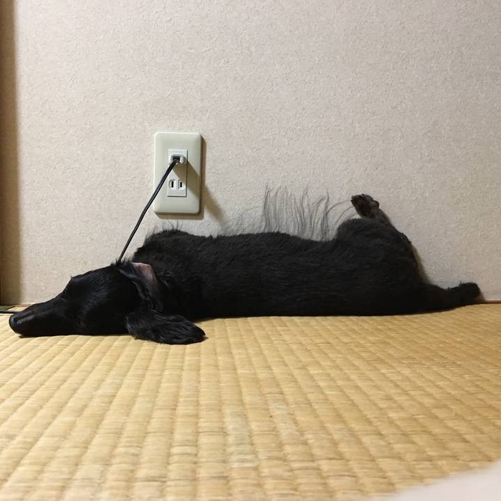 C92e5528 be9f 42fd bc61 93de2341429e 1631242233691