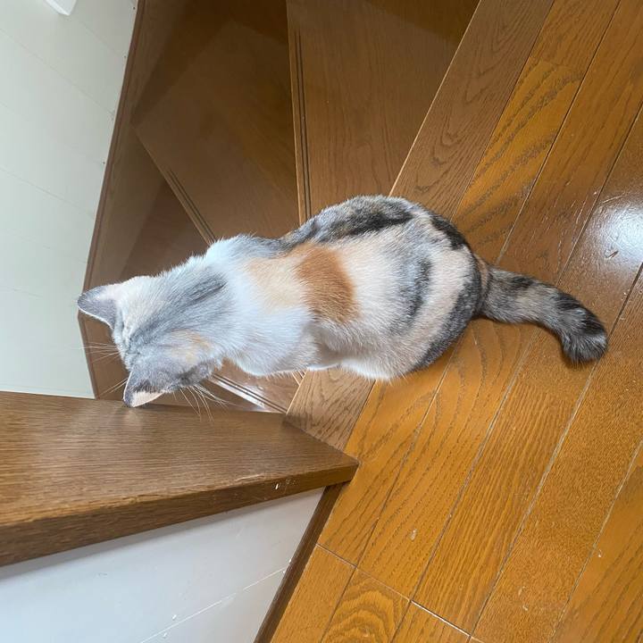 C92e6053 68a2 48c4 9a38 a615fe3b9f25 1631417944102