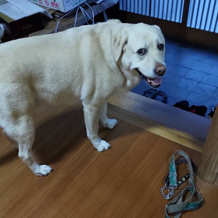 C92e6155 b2bd 45ed 9516 0f19919359d0 1693046678844