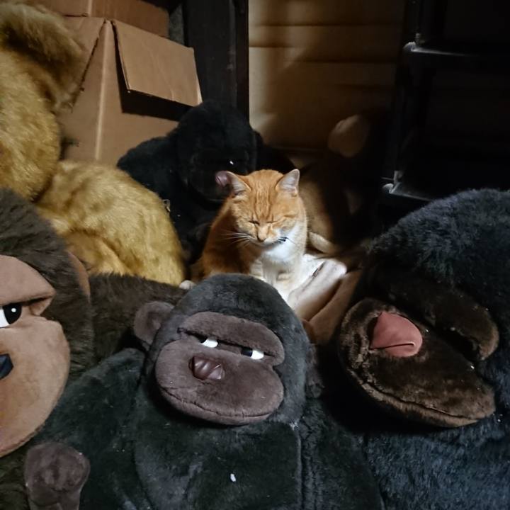 C92e742c e10d 4afd 92d3 6b78e6488616 1604571907762