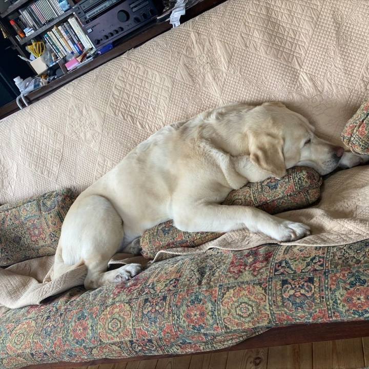 C92e8ba9 3613 426c bd04 84f345e3496a 1713258805051