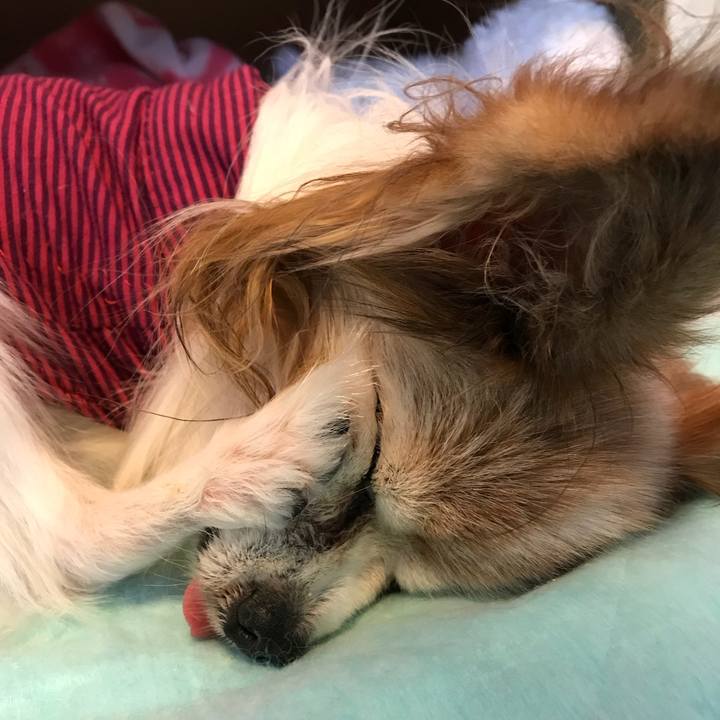 C92e9f97 63f8 4f73 b226 dae940364393 1511333805397