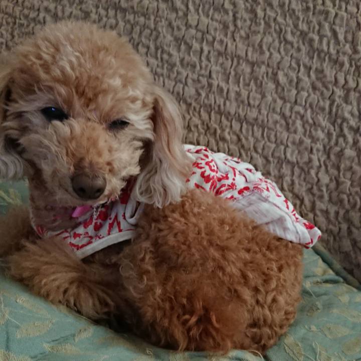 C92ec011 d6bb 48c0 9c4f 31a092e819f7 1554610035489