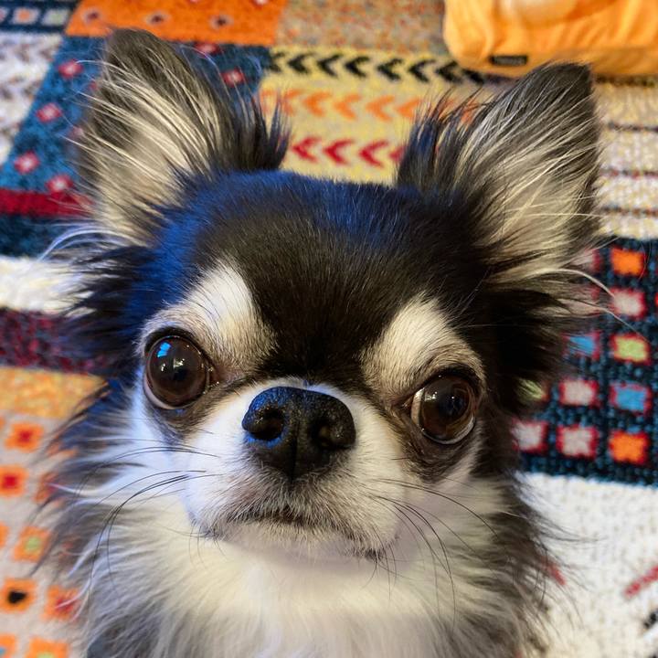 C92ee3b0 297b 4f02 9f12 17850f3a63d4 1707608655992