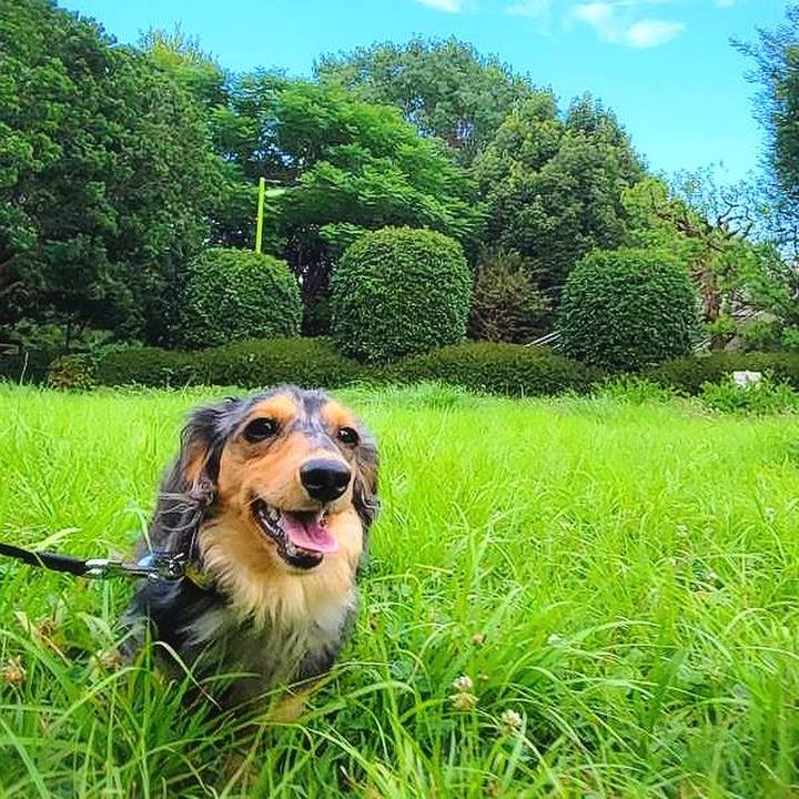 C92f3758 2cce 492b 8ab5 d35866c3cd7b 1758851402093