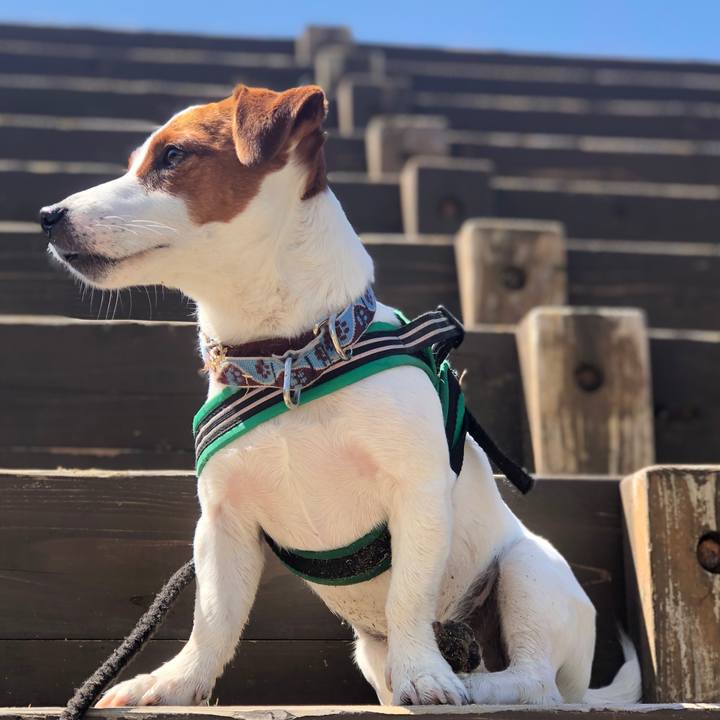 C92f72a9 d315 457f bb87 bdc54ecabb7a 1555759105426