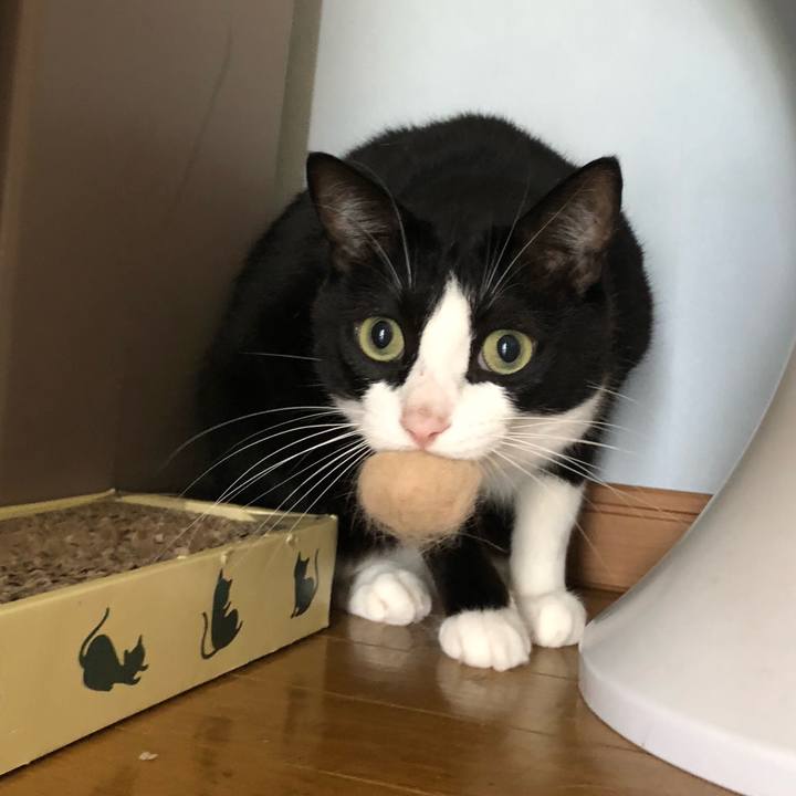 C92f8baa 4b89 434b bec1 014f7392dca2 1561386500211