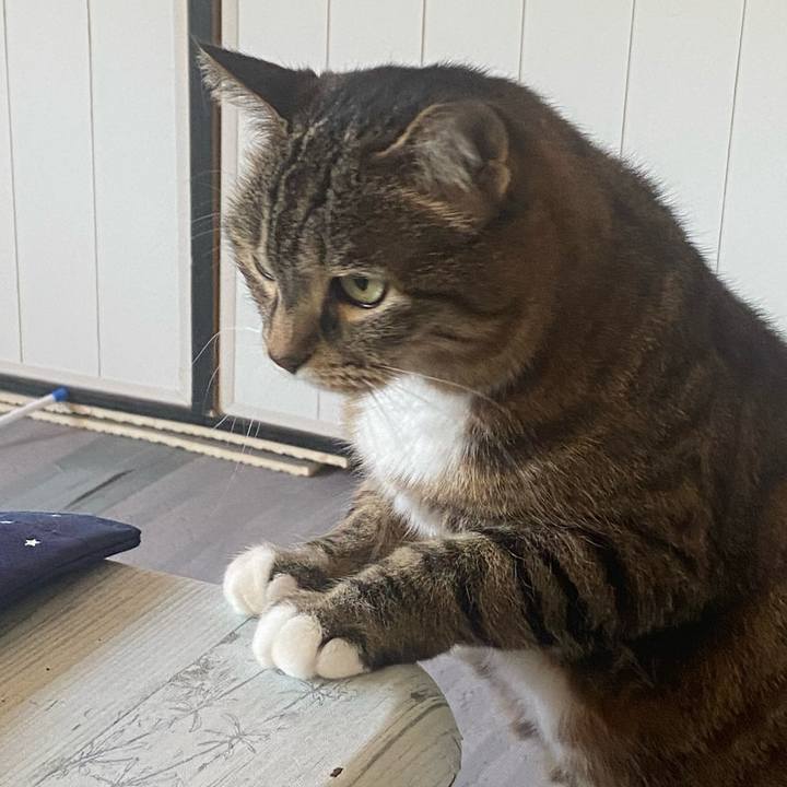 C92fa850 7dc1 4809 ac09 529d5035e6c7 1685834922060