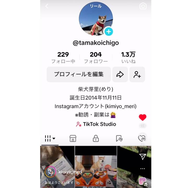 C92fc195 929f 4935 a747 4193f16fe7ee 1730741787794