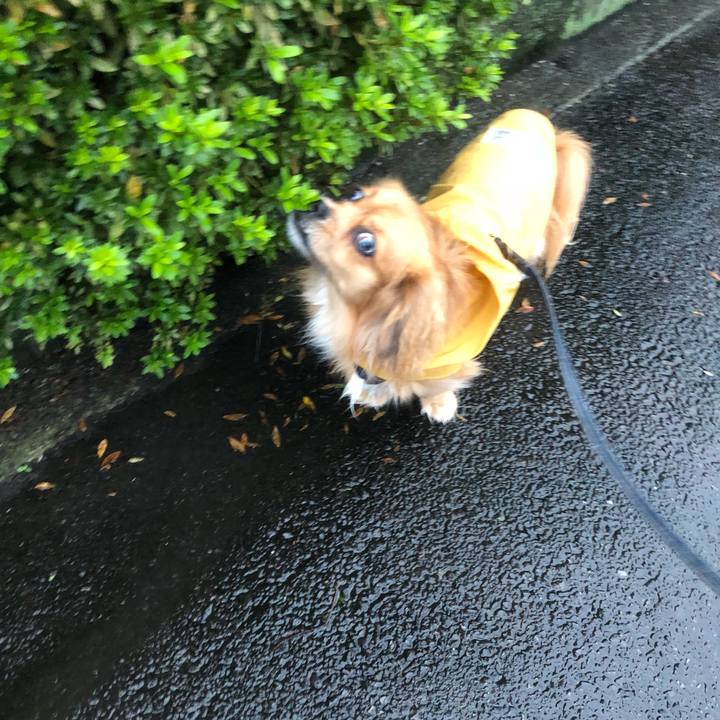 C92fdb95 fbbd 4bab 8860 641d929f04f5 1537567734967