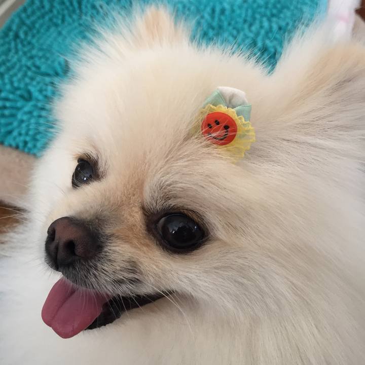 C92feac3 5136 4099 a5af aaaeda2b4f1b 1563510498362