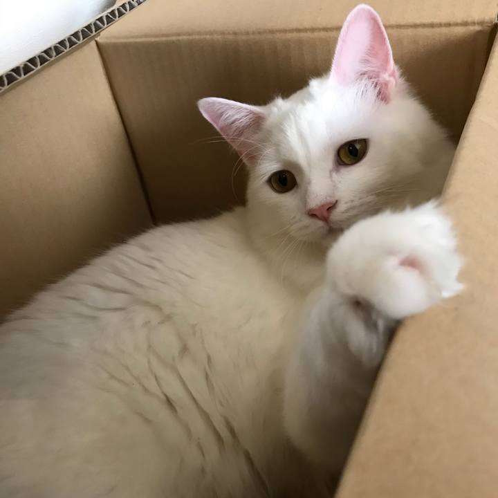 C93005d3 40d2 41bd 8b03 b2829aa7ed99 1526739139149