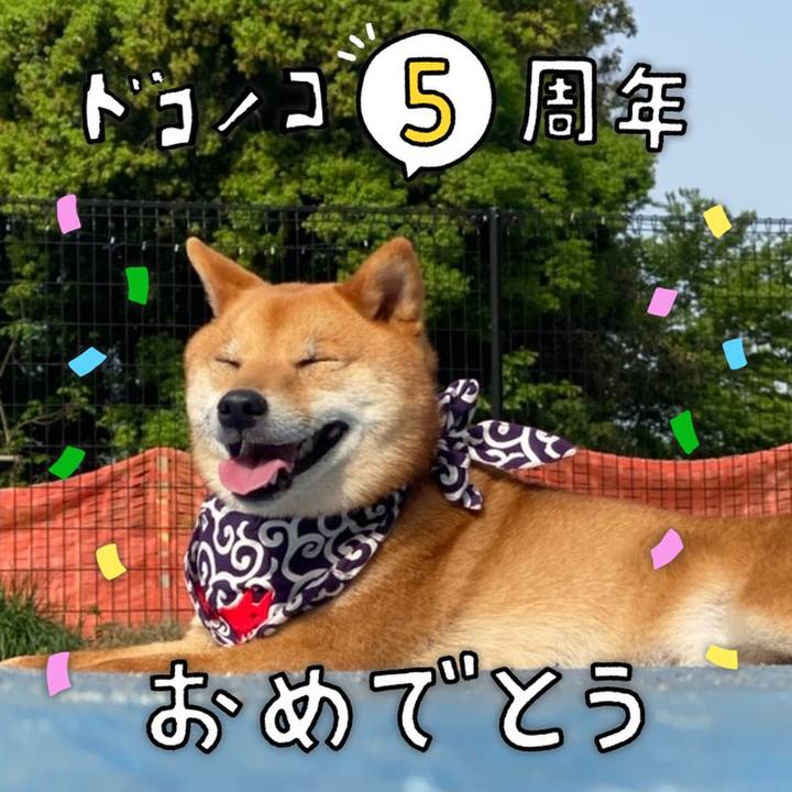 C93022ee f81f 47c1 9f8f db2f232683aa 1623106279123
