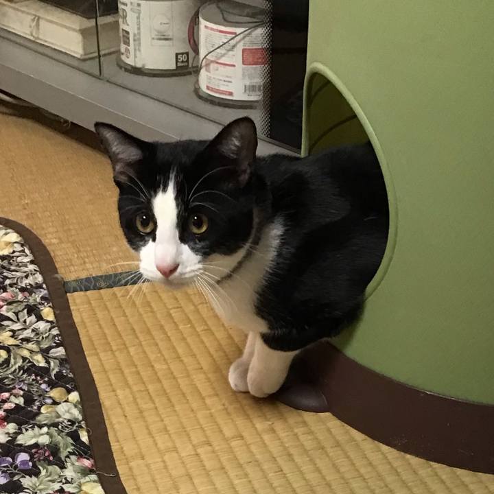 C930517f 8672 4014 b926 ceaf9f5c7114 1638573695359