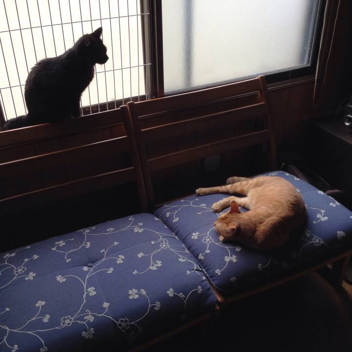 C9305aa9 d23a 4c4c 8360 5be60eeb246f 1533357258059