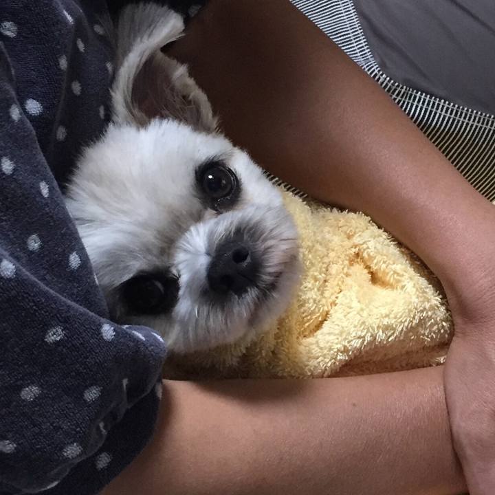 C9306a85 1e3d 41e6 ad37 b09e51e4d98b 1538216743477