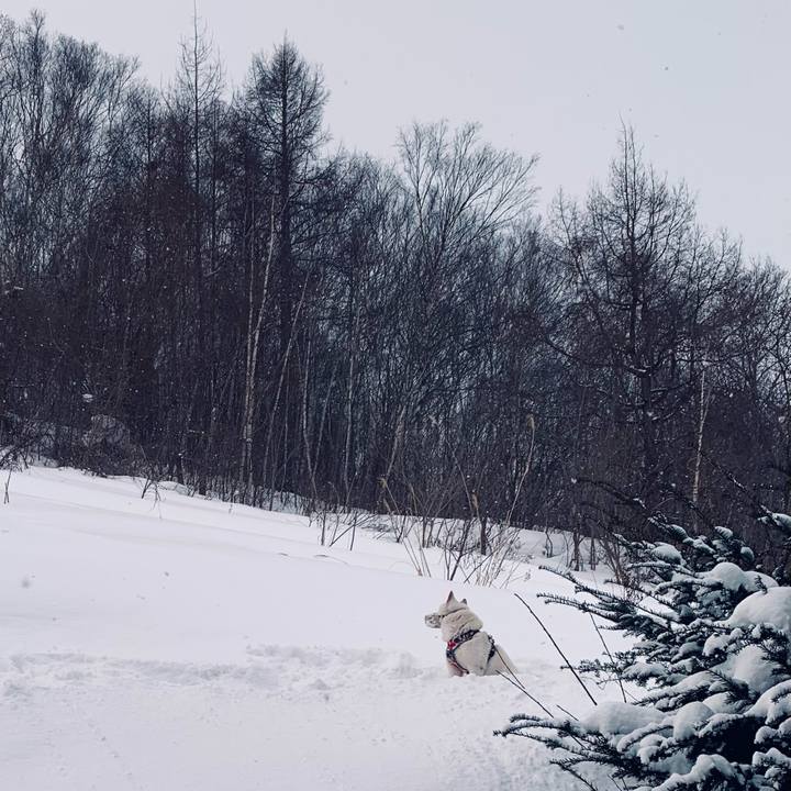 C930c257 1669 4400 a16a 45982d35fe8f 1612848996777