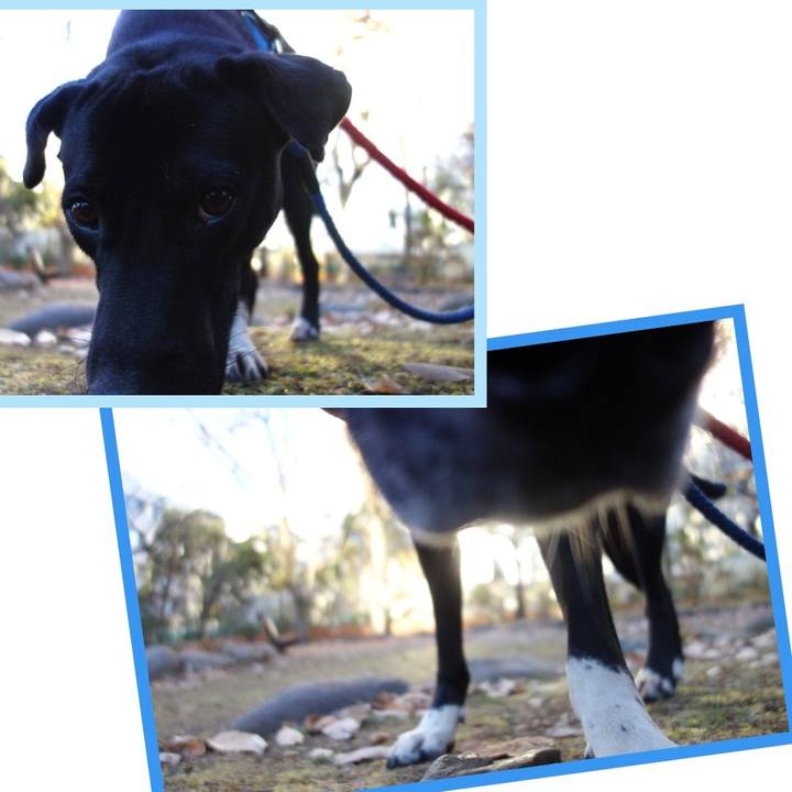 C930d12c 90ad 4b23 9939 3a8853744225 1608423430799