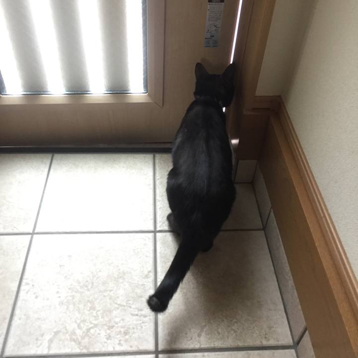 C9310b0f 56eb 49dd 9b58 b4c1f24b87c2 1529369952967