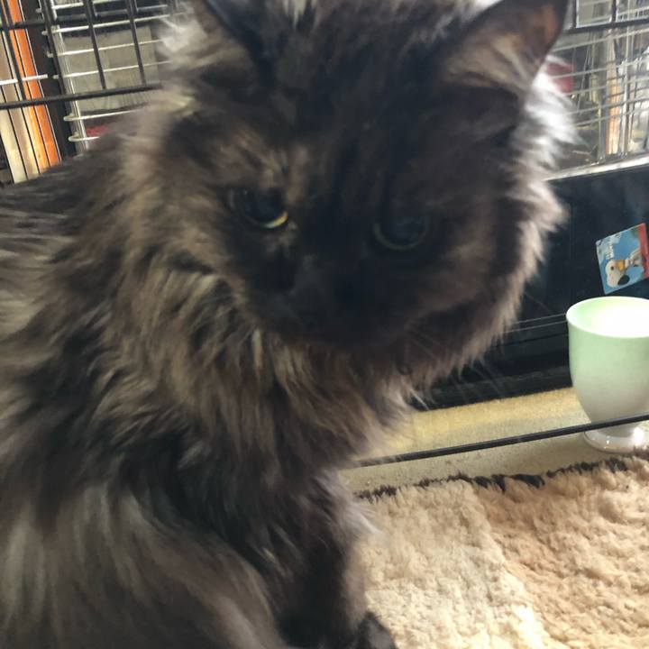 C9311bec 0911 42e0 95f5 1db40687a22d 1549849033718