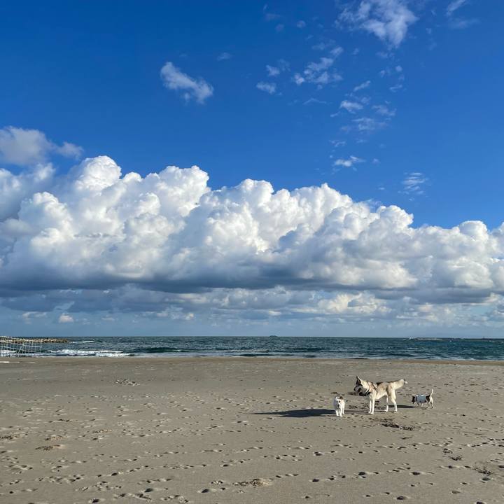 C9319bfa 5286 4d1a a509 f070dc25f63f 1697412409443