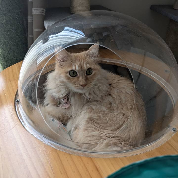 C9319c18 9b32 4eb6 8e7f d46bc7c82146 1742725816414