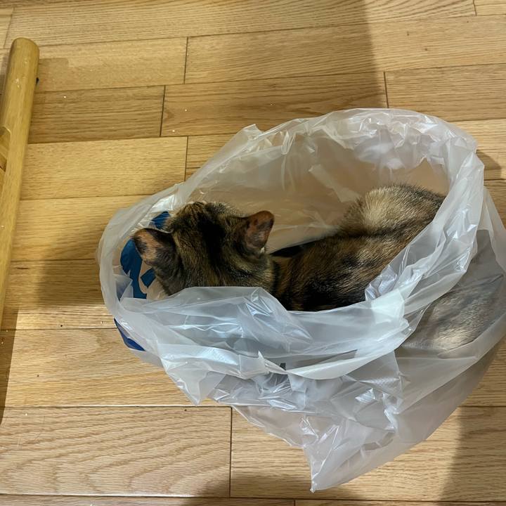 C931bd6c 6986 421a a636 e04fe29e5fc2 1695430310490