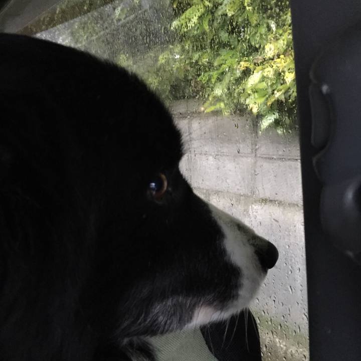 C9320d5e d568 4df3 bfcd b0c48439d8fb 1520460776148