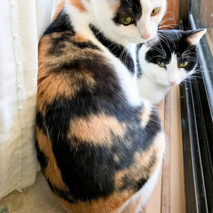 C9321a97 0109 40c0 a6a5 f19fea55adf7 1519722127030