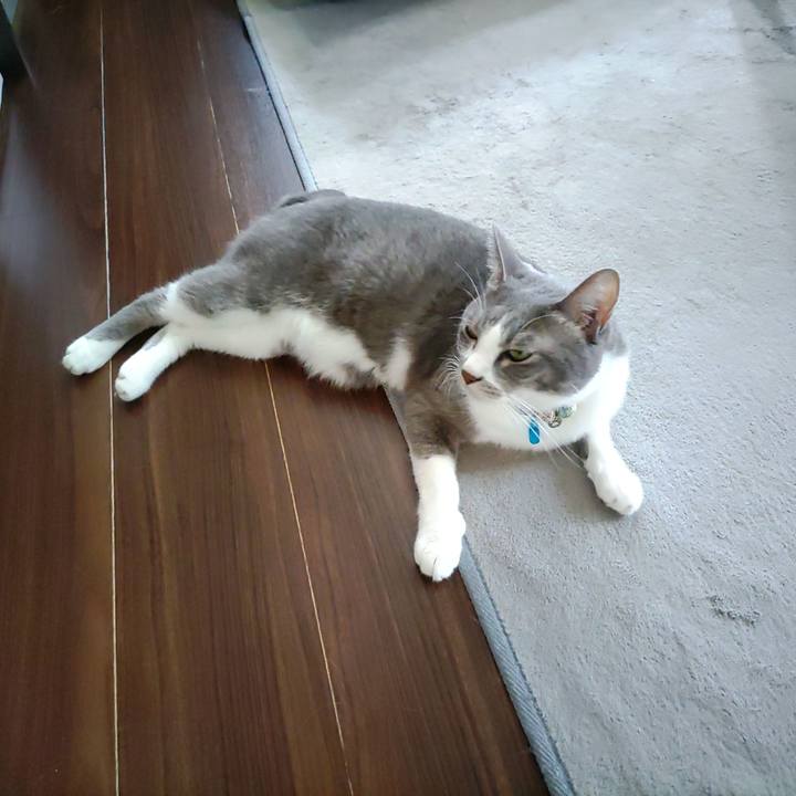 C93223b8 2860 49aa 8704 3f6bf1bf02d7 1695693064575