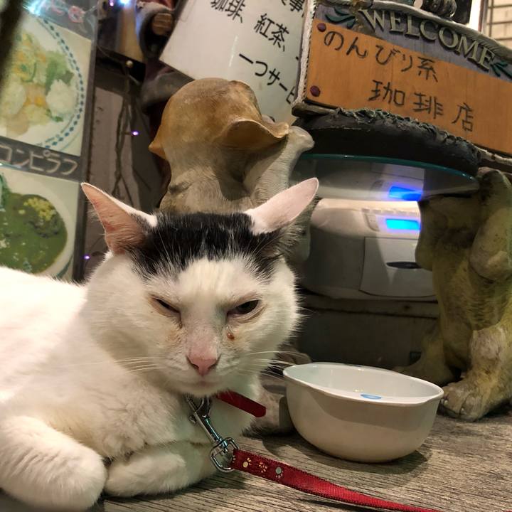 C9329677 49c8 4722 a0f6 cf9ade12ecf4 1563624107032