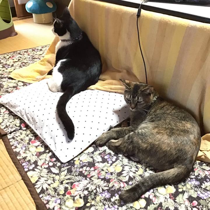 C932cd81 336e 4f8d b815 78dbc2d491ea 1640417440163