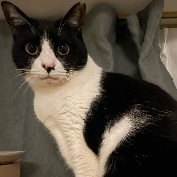 C932cecb a200 437c a7cc 7f283589cb40 1769424883358