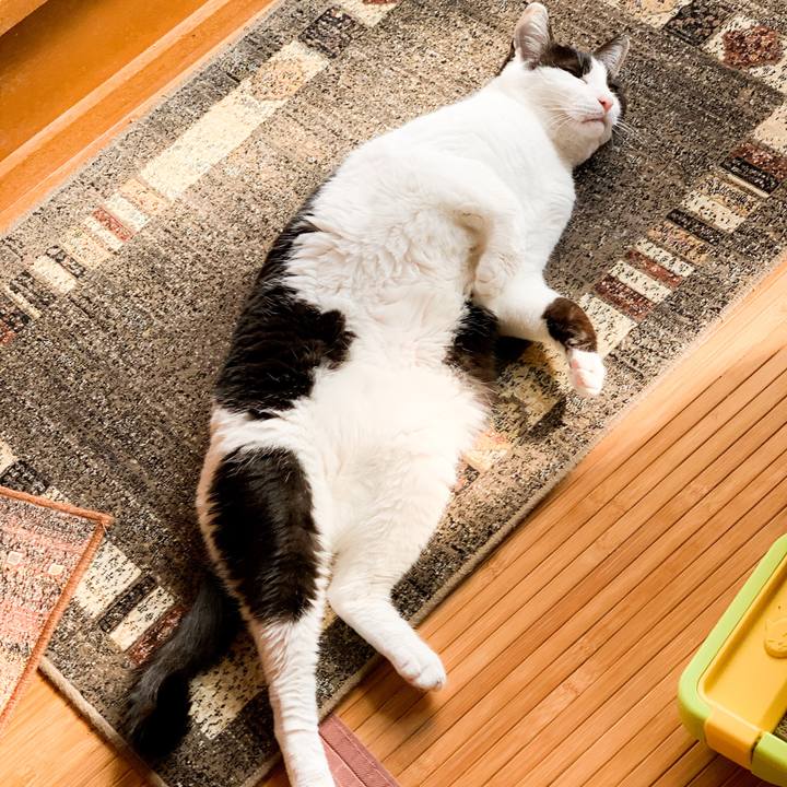 C932dfcb f782 4614 ae1d 7d156fe7b625 1592962007258