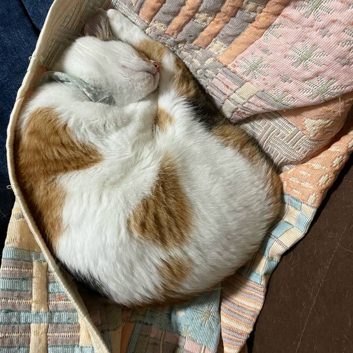 C9331d81 eb3a 479c a257 8831aa0c44e8 1663938742487