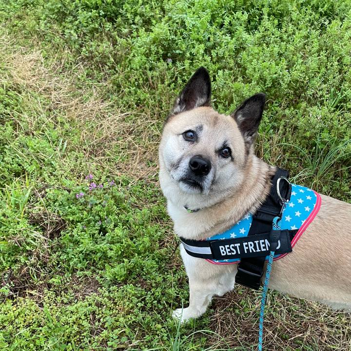 C93334b1 5889 4f52 b096 f8fb3a52dcf8 1711457251145