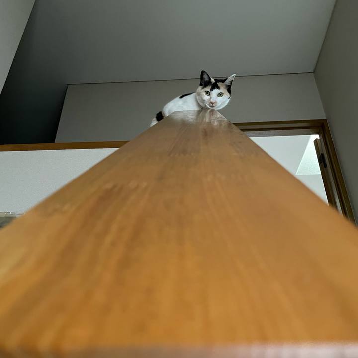 C933478e 2b49 40b8 bfbb b89d2a048123 1746150467632