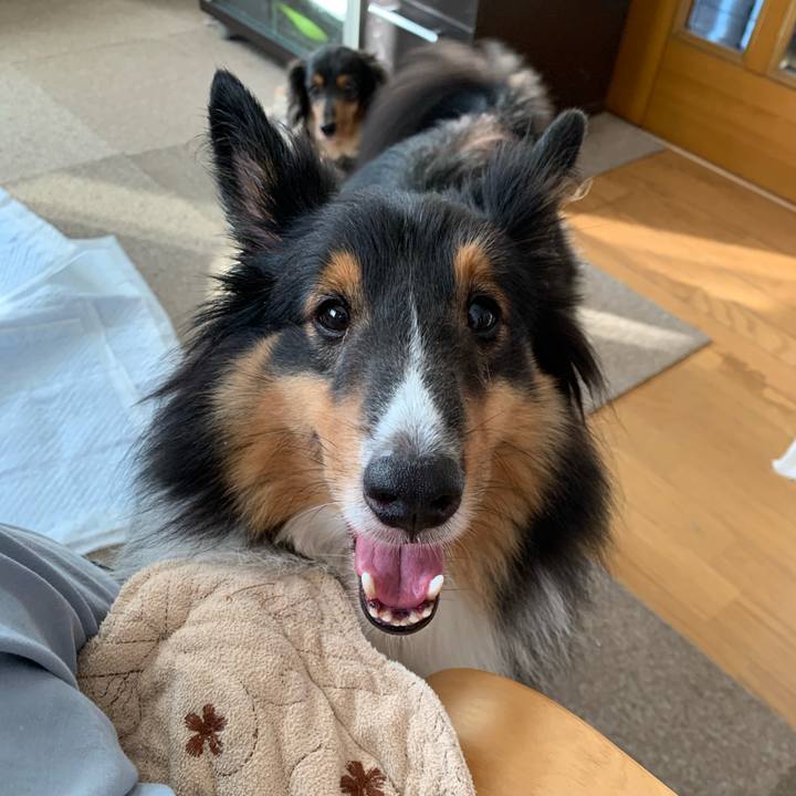 C933584a 315f 42f5 9ec4 324231a85d11 1598391597028