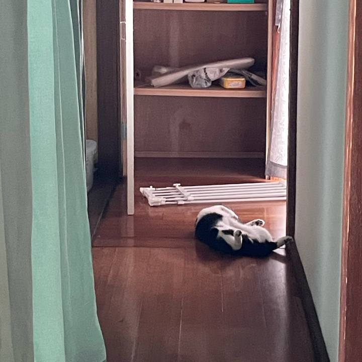 C9335a77 b5ce 48e3 856c a25c0b4d587d 1689157855801