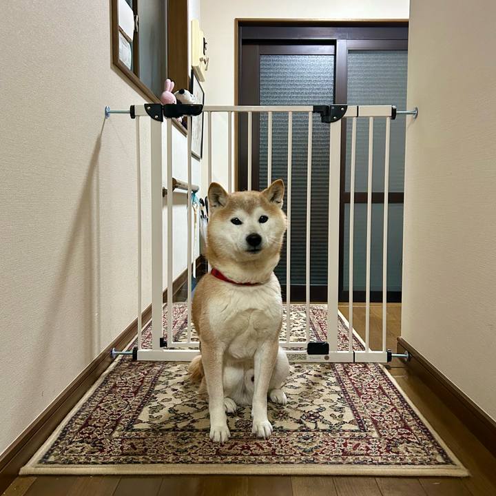 C9336891 28a1 49e5 a36d 79f3ebcb36c9 1739876235090