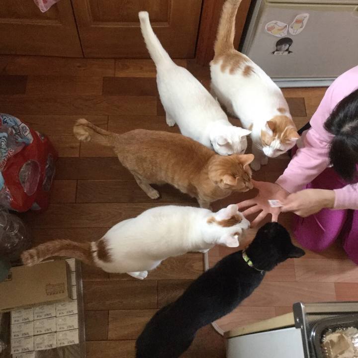 C9336b6d 557e 452e a372 310a5f89e421 1552904009679