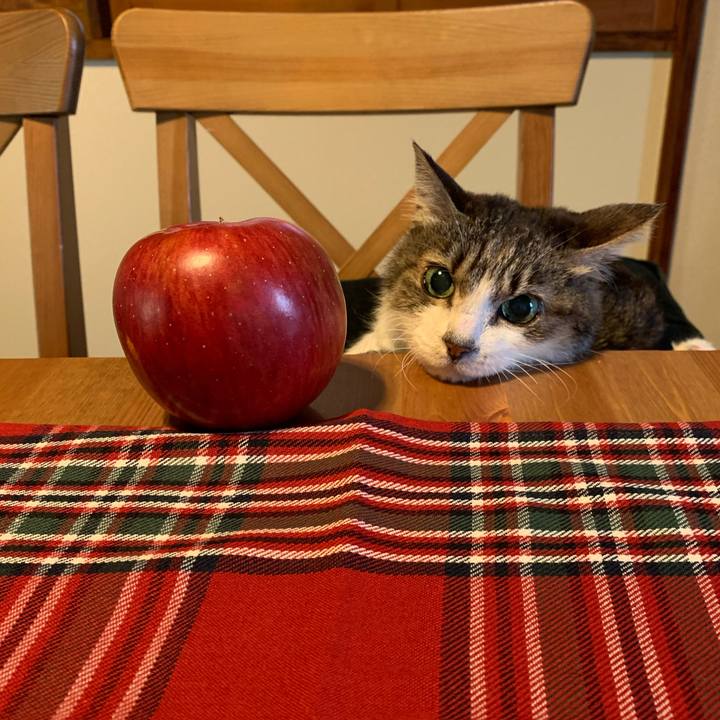 C9336ee3 96a7 4349 a630 a75d0ca3c74c 1633039345898