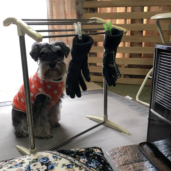 C9337fc3 d205 43f8 9afd 8ea38219b11b 1581257631662