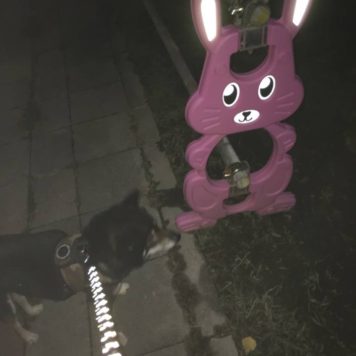 C9339471 28bd 46e0 bc05 b6303ab70336 1508319124543