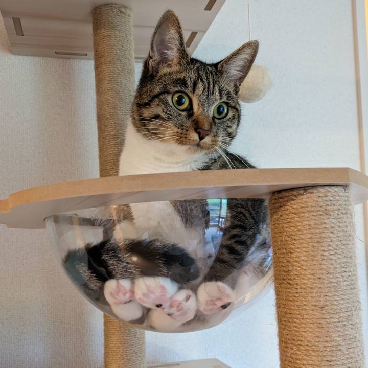 C933a181 da68 495c 936a b71b07a20a27 1686873080442