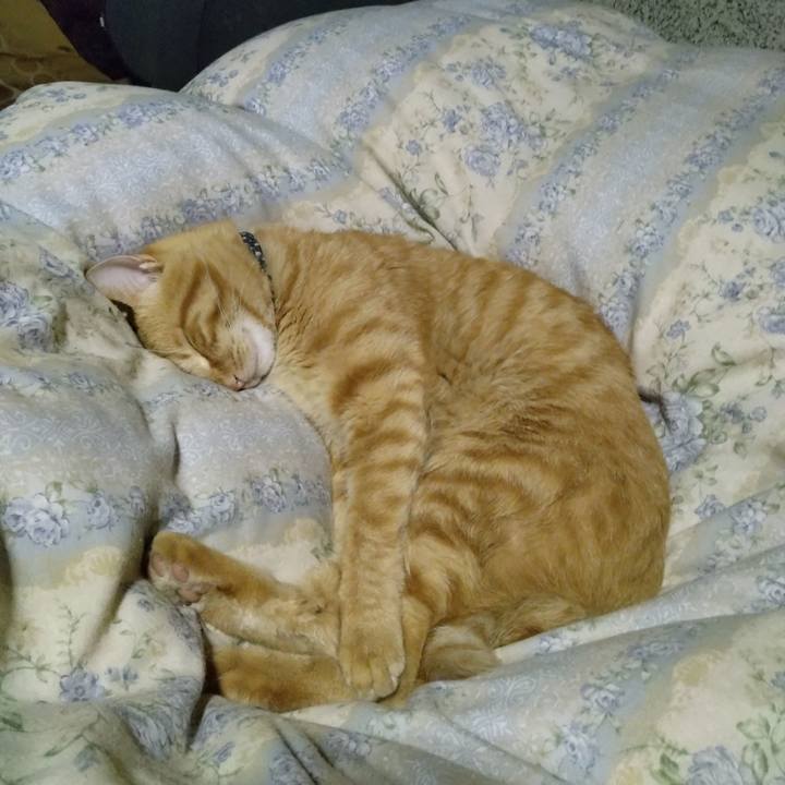 C9344af5 1b3c 4841 b355 a0ca71a0a860 1665663656031