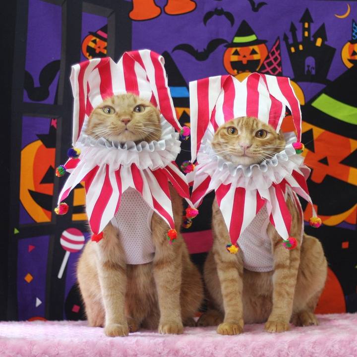 C93452e2 c05a 4c35 b680 0f2a7ca7bf1b 1695802326323